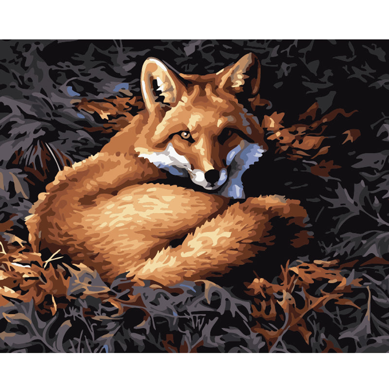 Resting Woodland Fox - 40x50 cm paint by numbers kit