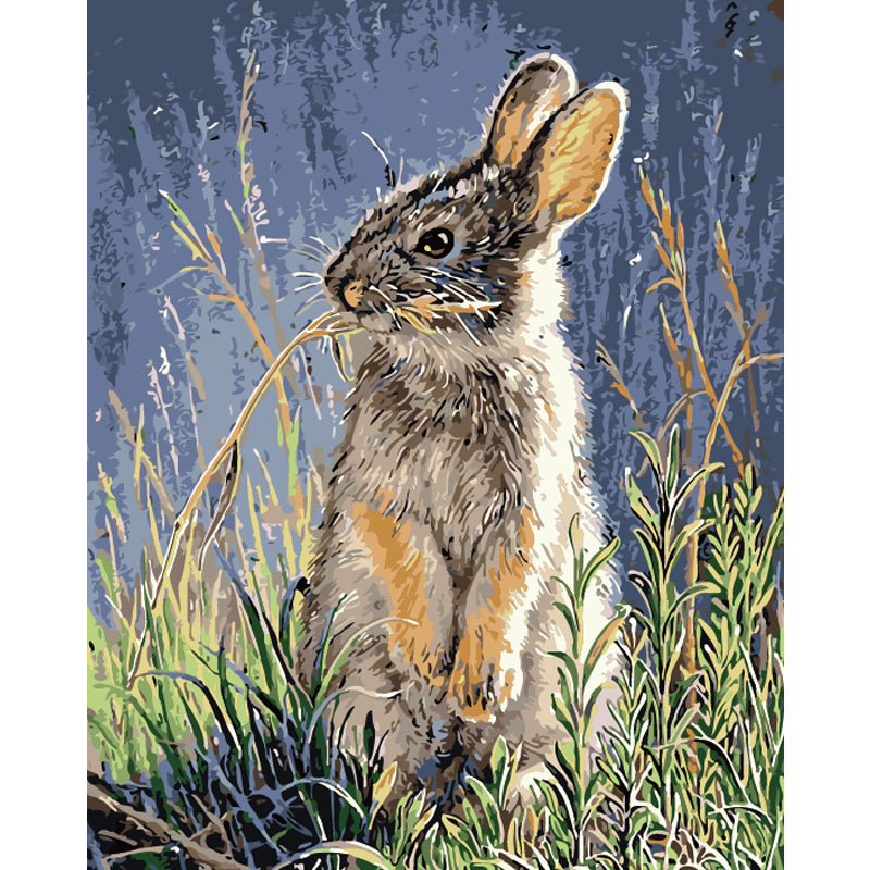 Curious Woodland Rabbit - 40x50 cm paint by numbers kit
