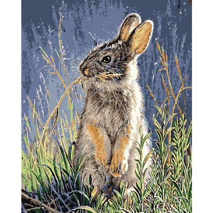 Curious Woodland Rabbit - 40x50 cm paint by numbers kit