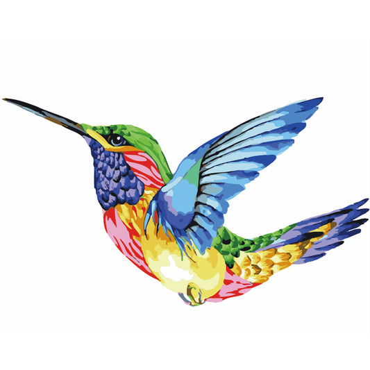 Rainbow Hummingbird Flight - 40x50 cm paint by numbers kit
