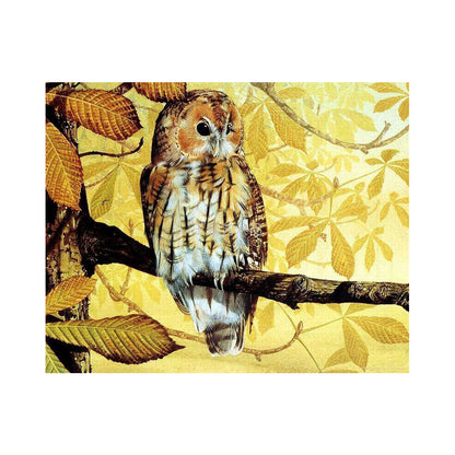 Golden Autumn Owl - 40x50 cm paint by numbers kit
