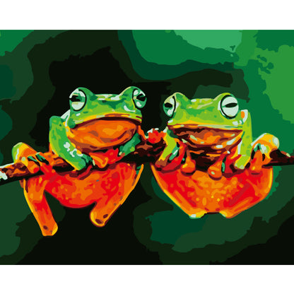 Colorful Frogs on a Branch - 40x50 cm paint by numbers kit