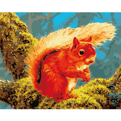 Bright Red Squirrel - 40x50 cm paint by numbers kit