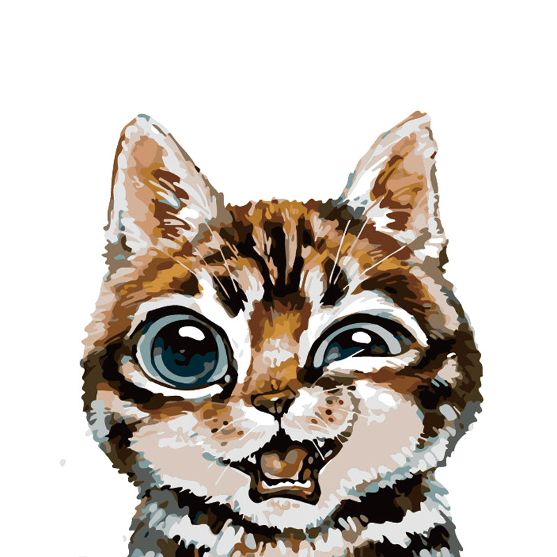 Wide Eyed Tabby Cat - 40x50 cm paint by numbers kit