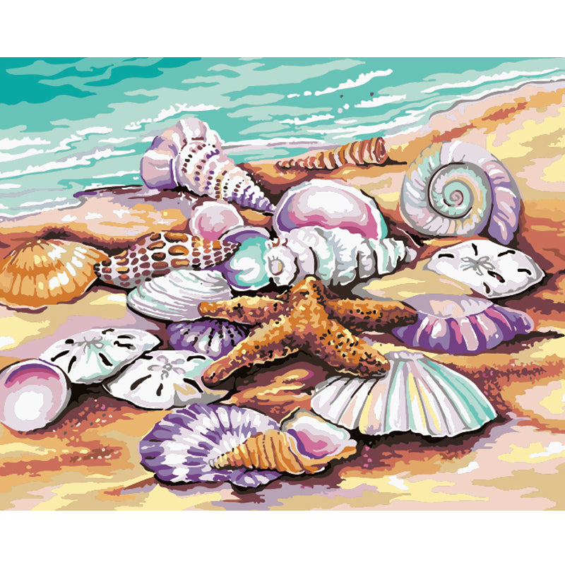 Pastel Seashell Collection - 40x50 cm paint by numbers kit