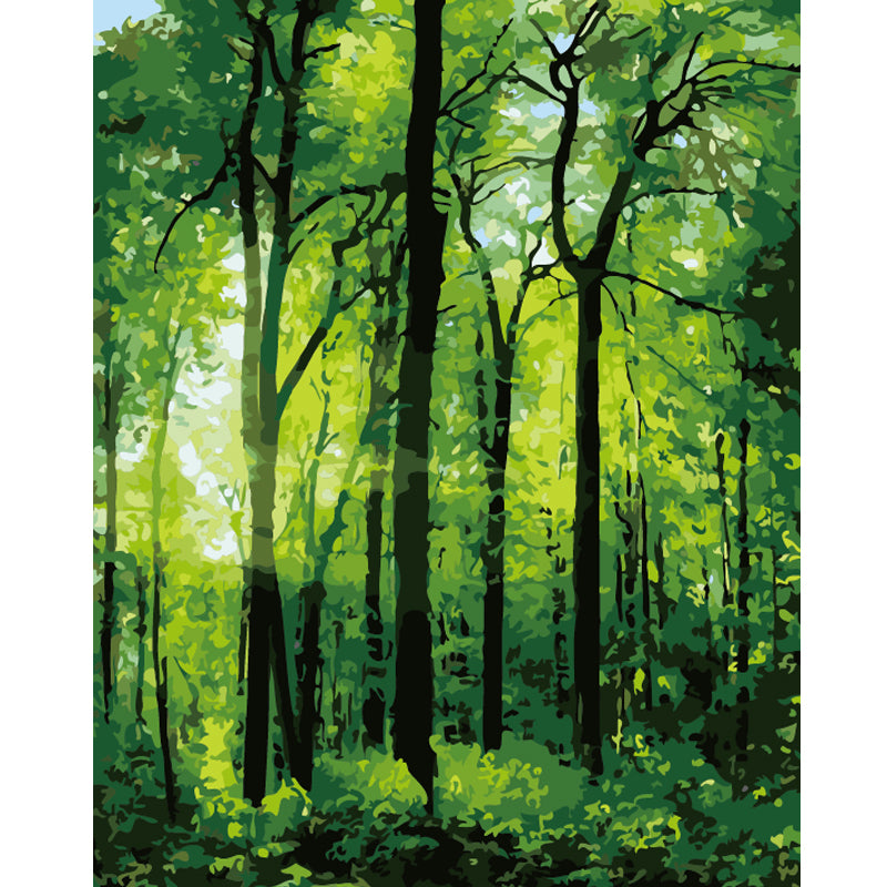 Sunlit Green Forest - 40x50 cm paint by numbers kit