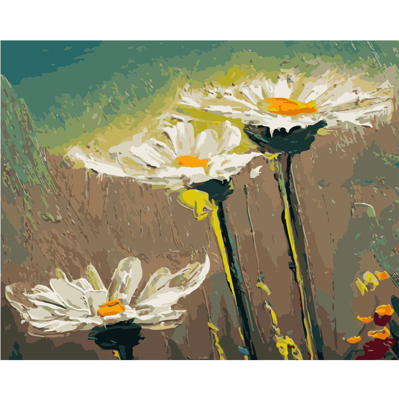 Daisies in Evening Light - 40x50 cm paint by numbers kit