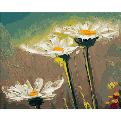 Daisies in Evening Light - 40x50 cm paint by numbers kit
