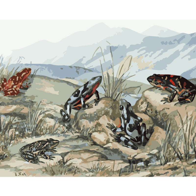 Frogs on the Rocks - 40x50 cm paint by numbers kit