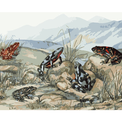 Frogs on the Rocks - 40x50 cm paint by numbers kit
