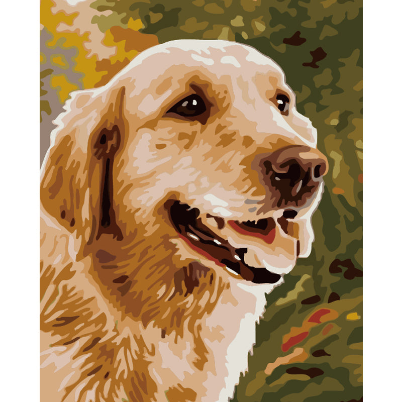 Golden Retriever in Autumn Light - 40x50 cm paint by numbers kit