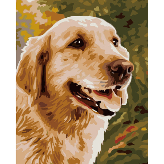 Golden Retriever in Autumn Light - 40x50 cm paint by numbers kit
