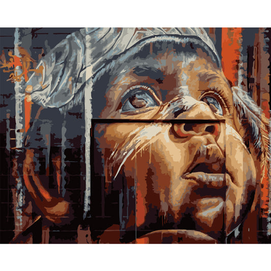 Face Behind the Window - 40x50 cm paint by numbers kit