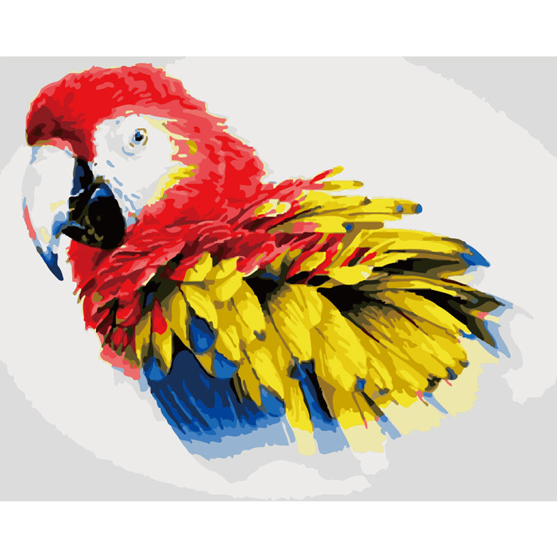Scarlet Macaw Portrait - 40x50 cm paint by numbers kit