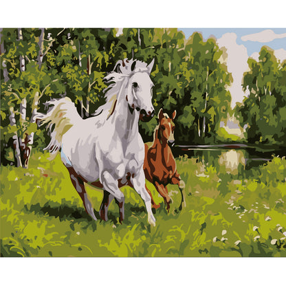 White and Chestnut Horses Running - 40x50 cm paint by numbers kit