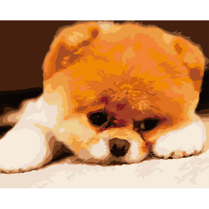 Sleepy Orange Puppy - 40x50 cm paint by numbers kit