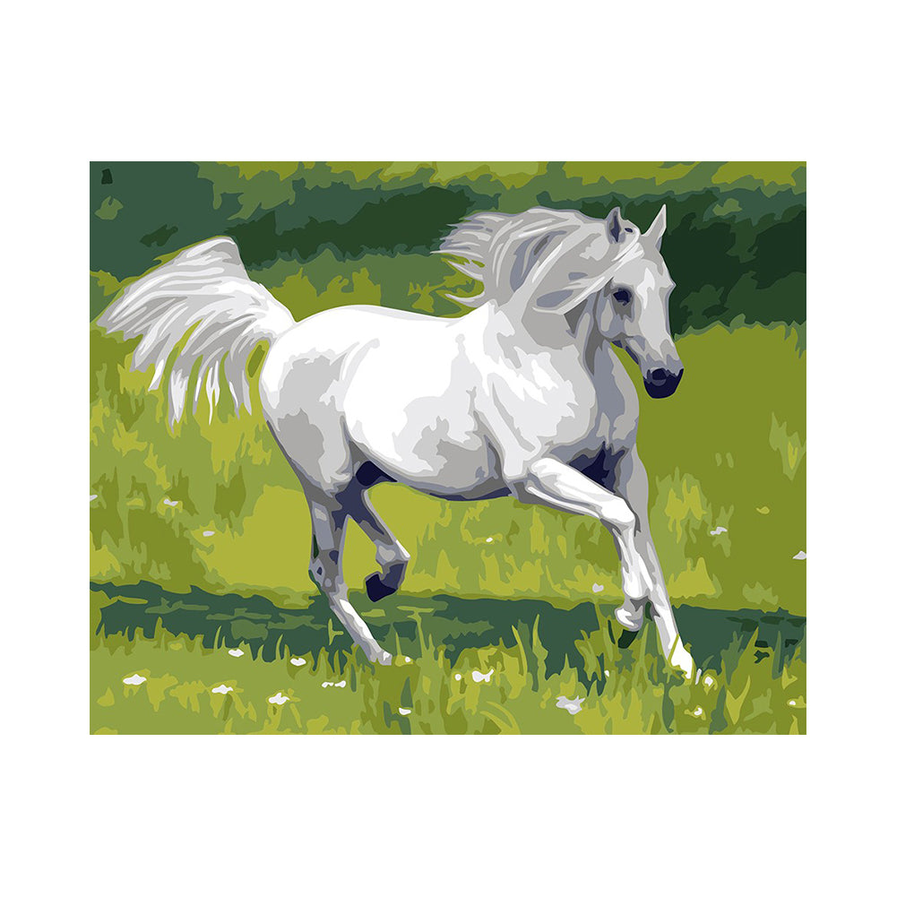 White Horse in the Meadow - 40x50 cm paint by numbers kit