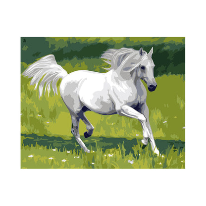 White Horse in the Meadow - 40x50 cm paint by numbers kit