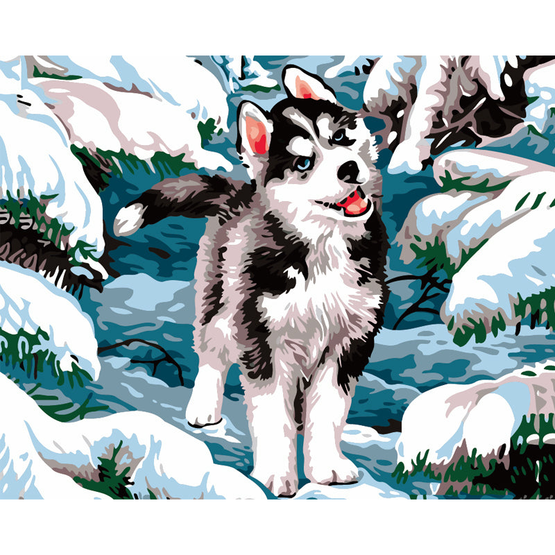 Husky Puppy in the Snow - 40x50 cm paint by numbers kit