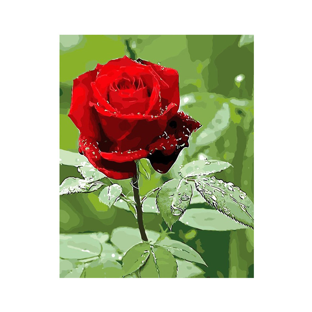 Crimson Rose Bloom - 40x50 cm paint by numbers kit