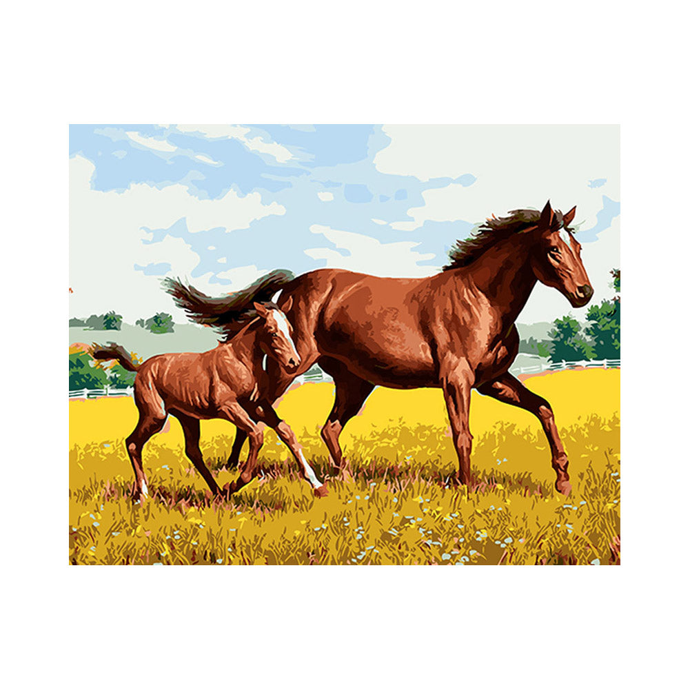 Mare and Foal in the Meadow - 40x50 cm paint by numbers kit
