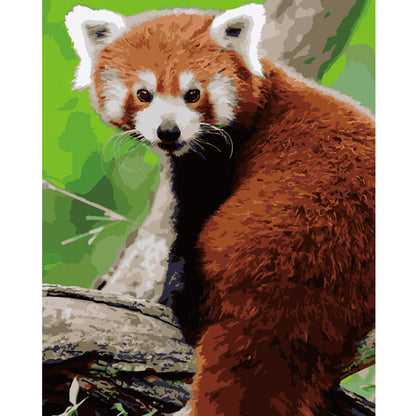 Red Panda Portrait - 40x50 cm paint by numbers kit