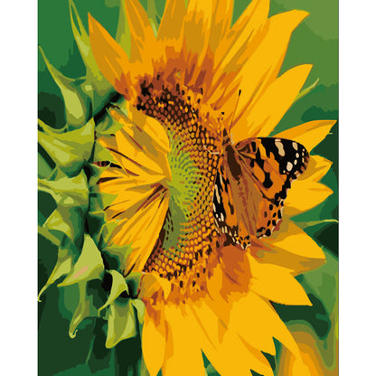 Butterfly on Sunflower - 40x50 cm paint by numbers kit
