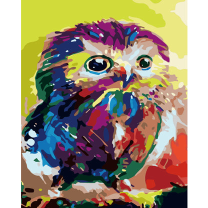 Colorful Curious Owl - 40x50 cm paint by numbers kit