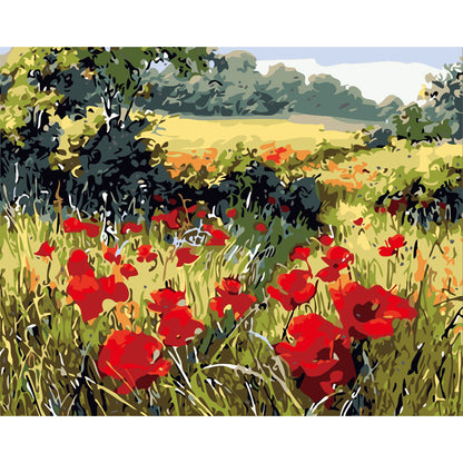 Summer Poppy Meadow - 40x50 cm paint by numbers kit