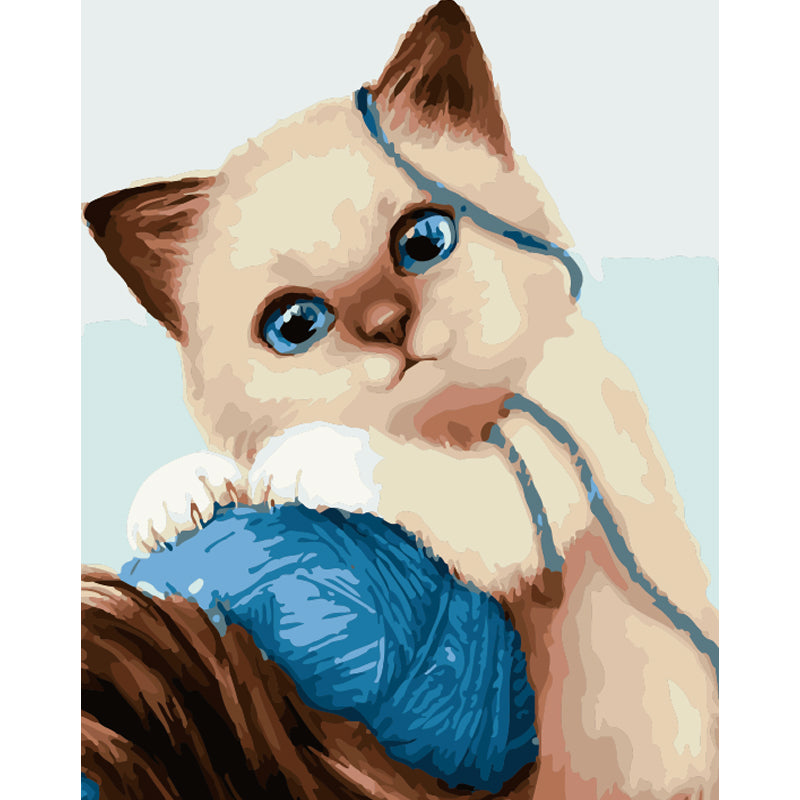 Blue Eyed Kitten with Yarn - 40x50 cm paint by numbers kit