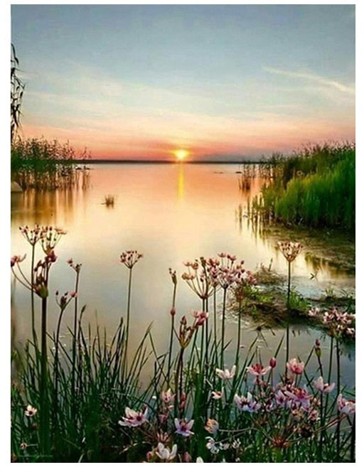 Marshland Sunset - 40x50 cm paint by numbers kit