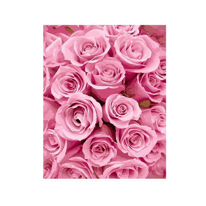 Blush Pink Rose Garden - 40x50 cm paint by numbers kit