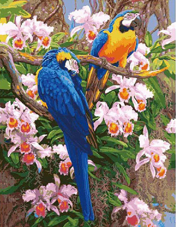 Blue Macaws and Orchids - 40x50 cm paint by numbers kit