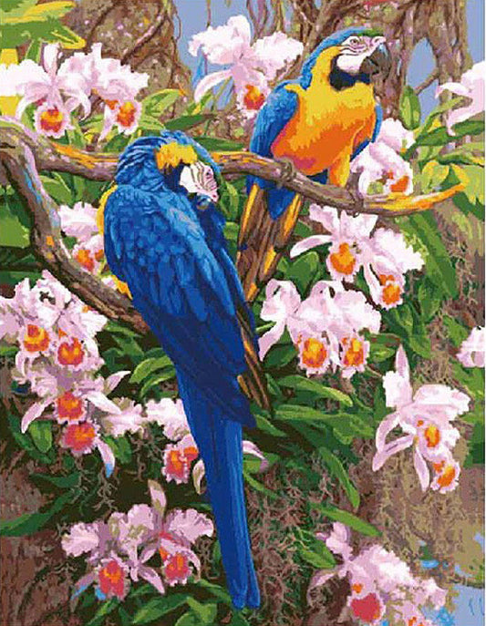 Blue Macaws and Orchids - 40x50 cm paint by numbers kit