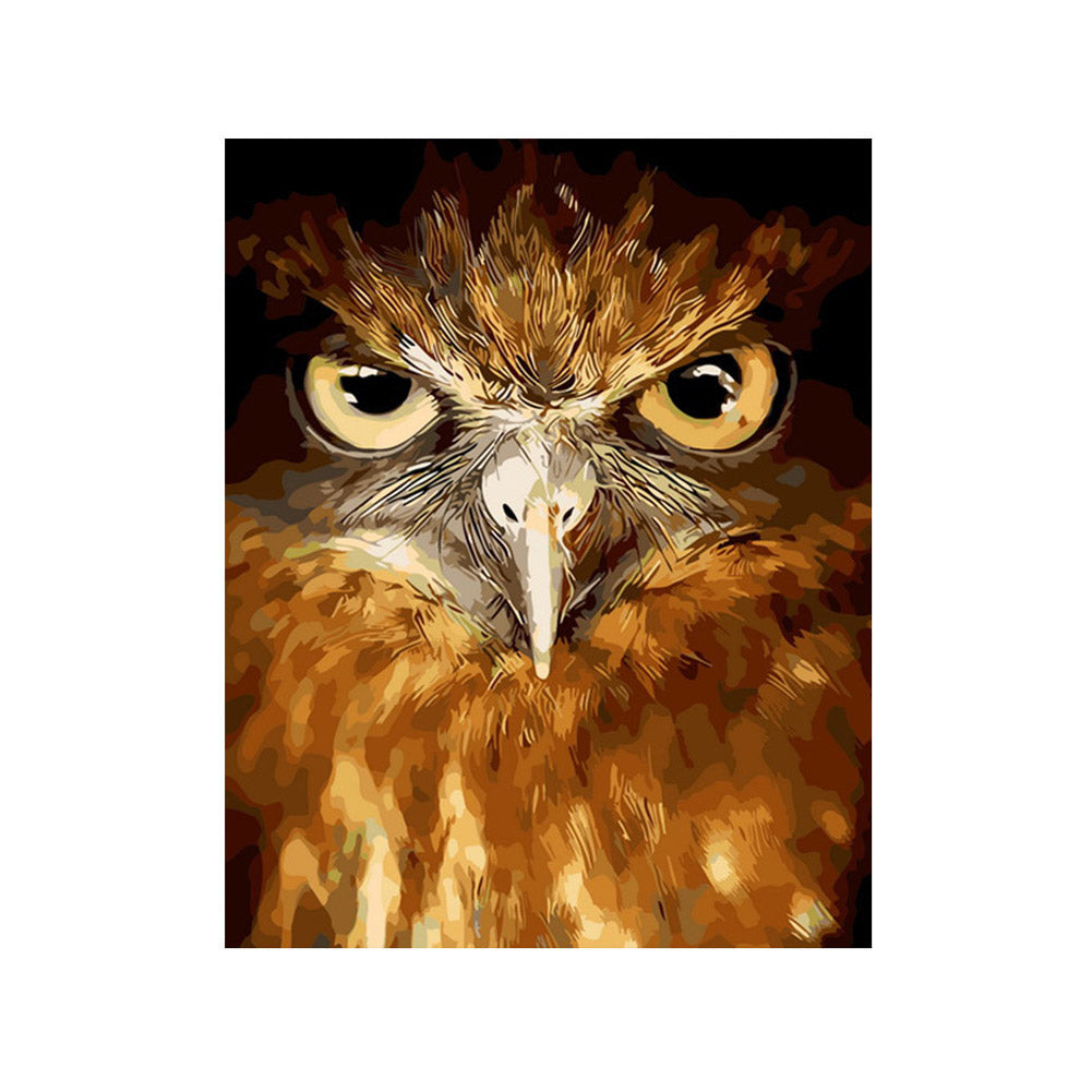 Intense Owl Portrait - 40x50 cm paint by numbers kit