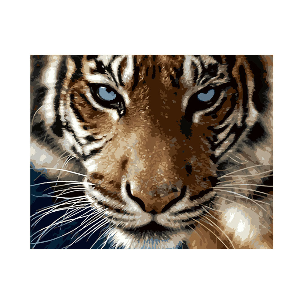 Intense Tiger Gaze - 40x50 cm paint by numbers kit