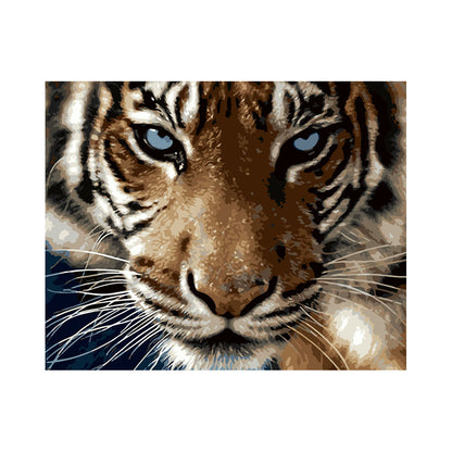 Intense Tiger Gaze - 40x50 cm paint by numbers kit