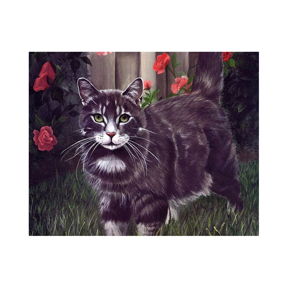 Black Cat Among Red Roses - 40x50 cm paint by numbers kit