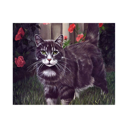 Black Cat Among Red Roses - 40x50 cm paint by numbers kit