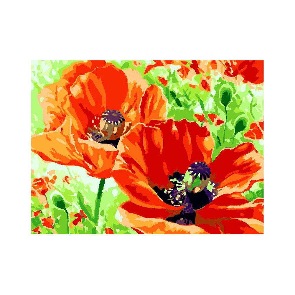 Vibrant Orange Poppies - 40x50 cm paint by numbers kit
