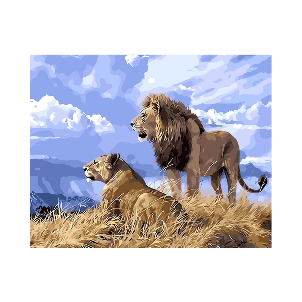 Majestic Lion Pair - 40x50 cm paint by numbers kit