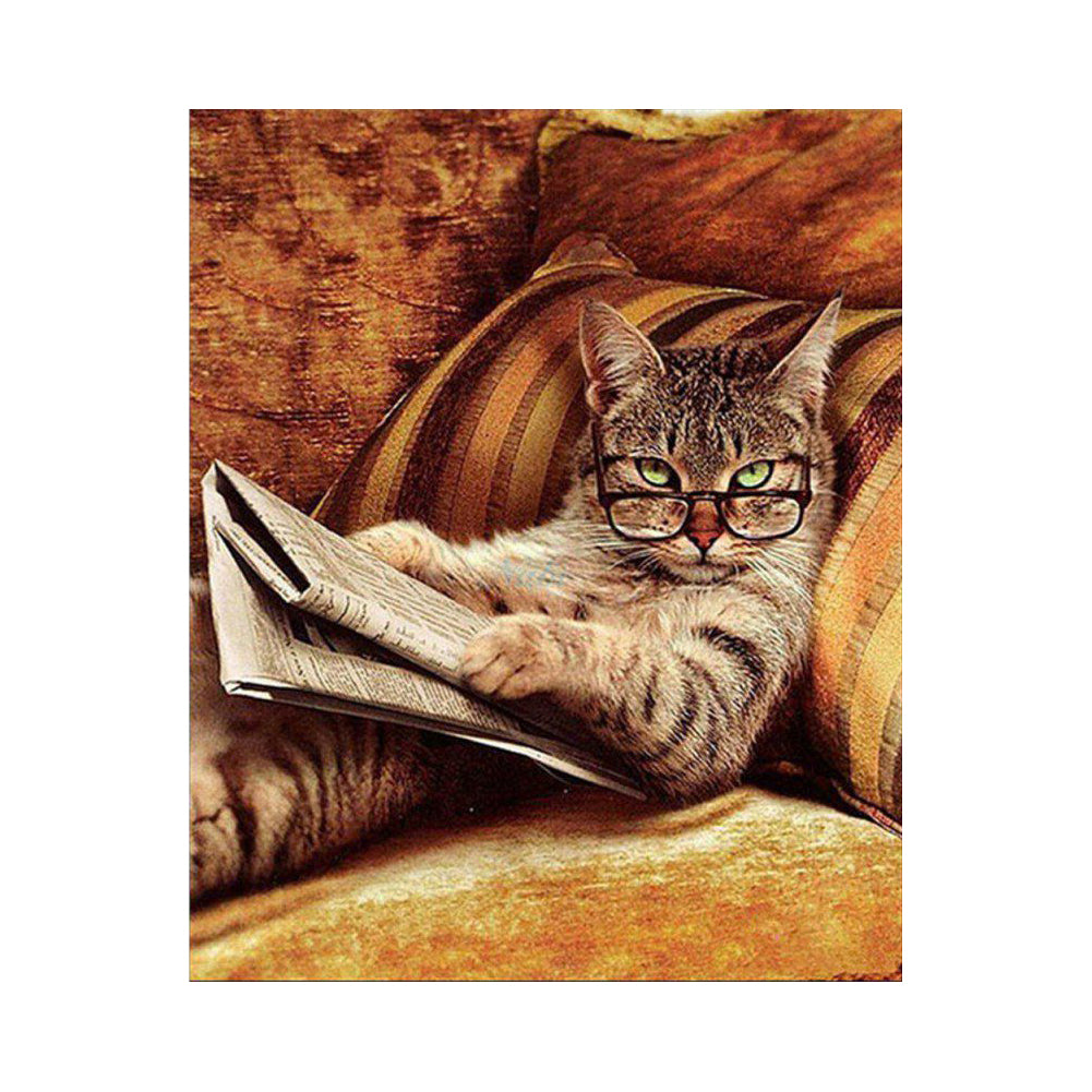 Reading Cat with Glasses - 40x50 cm paint by numbers kit