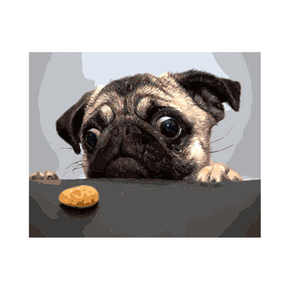 Pug and the Cookie - 40x50 cm paint by numbers kit
