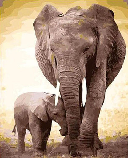 Mother and Baby Elephant - 40x50 cm paint by numbers kit