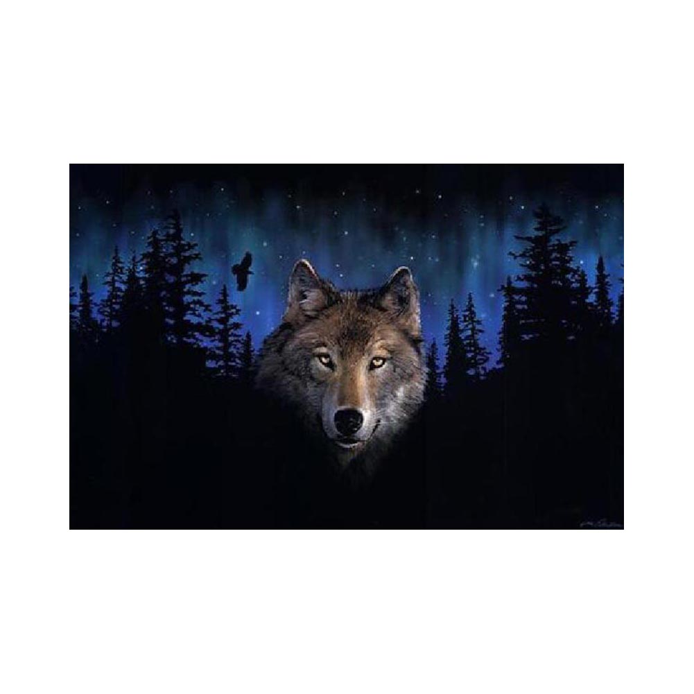 Wolf Under the Northern Lights - 40x50 cm paint by numbers kit