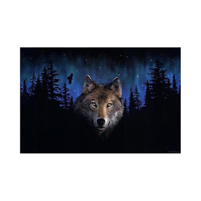 Wolf Under the Northern Lights - 40x50 cm paint by numbers kit