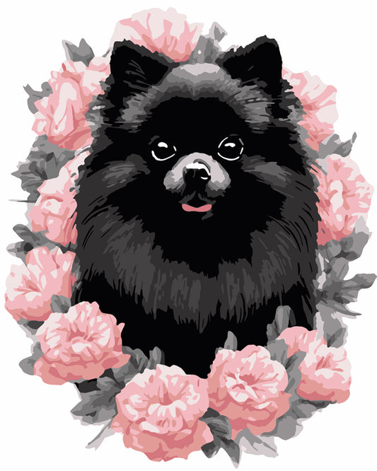 Black Pomeranian in Bloom - 40x50 cm paint by numbers ki