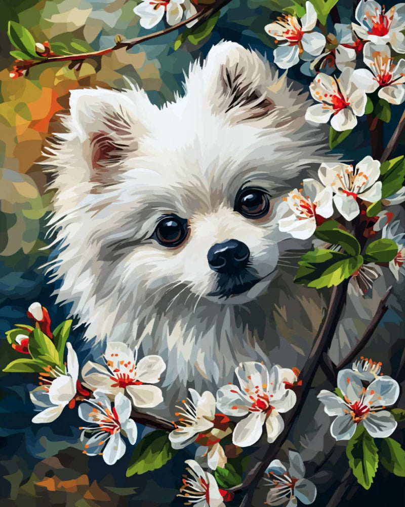 Cute Pomeranian Among Blossoms - 40x50 cm paint by numbers kit