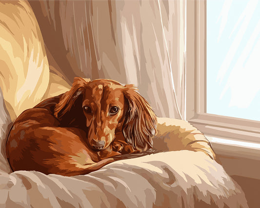 Cozy Dachshund Resting by Window - 40x50 cm paint by numbers kit