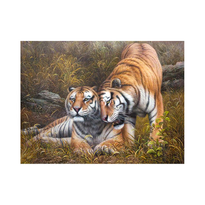 Affectionate Tigers - 40x50 cm paint by numbers kit